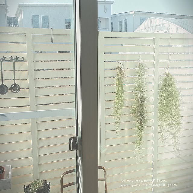 tomoさんの実例写真