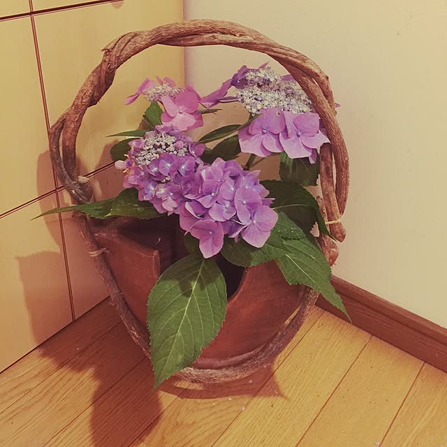 tabaさんの実例写真