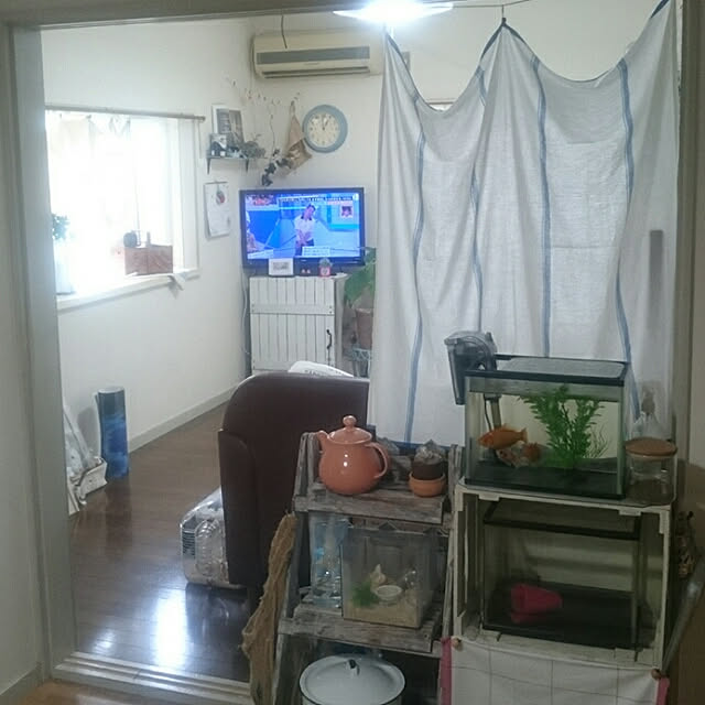 yukimushiさんの実例写真