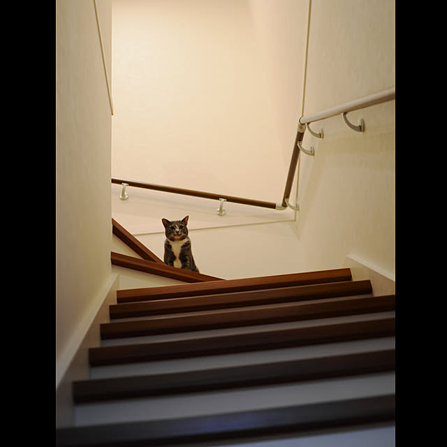 takiroraさんの実例写真