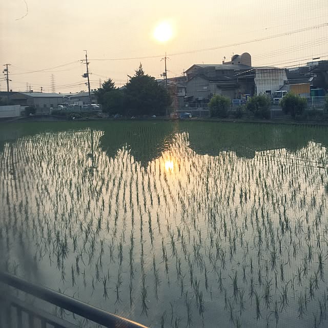 実例写真