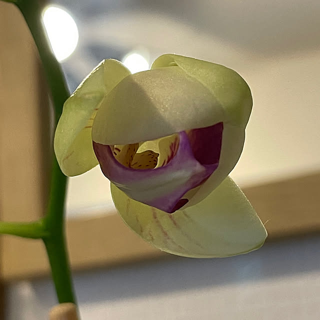 sata9さんの実例写真