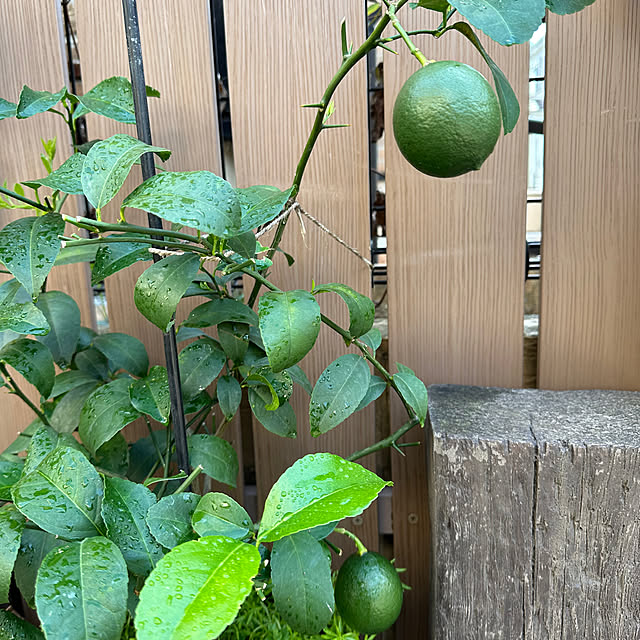 tabasaさんの部屋