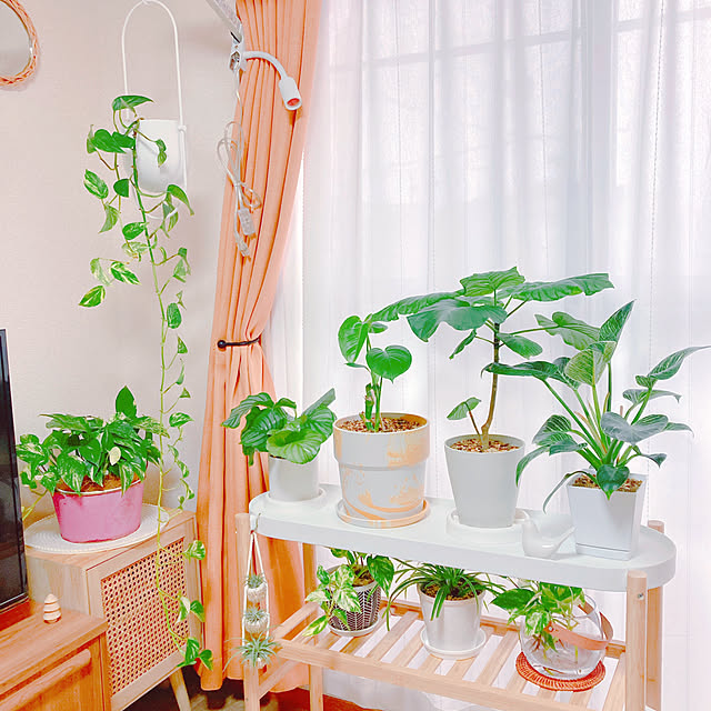 yuyuさんの部屋