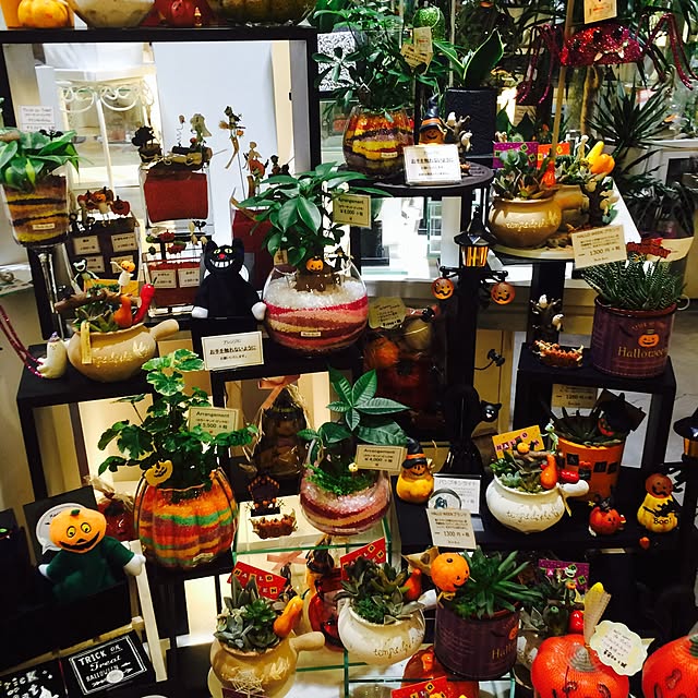 atenariaさんの実例写真