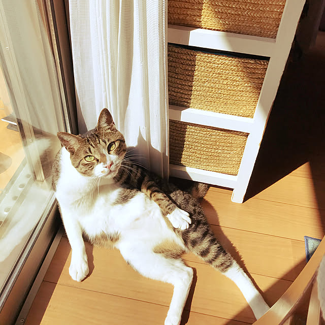 suemonta14さんの実例写真