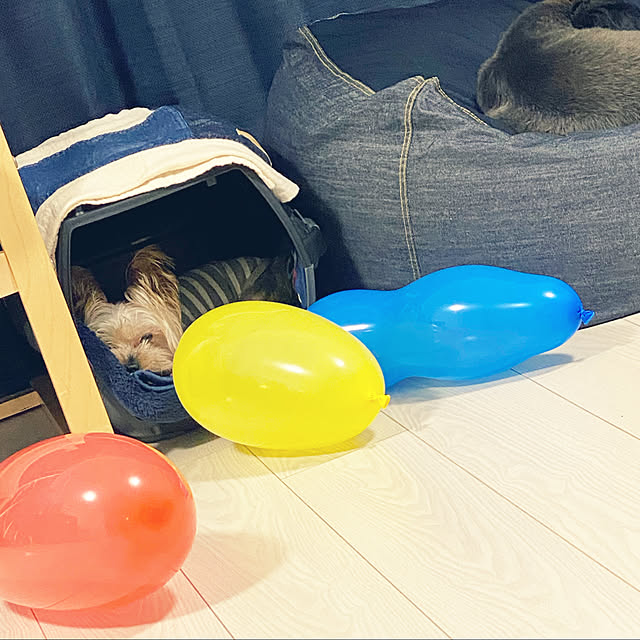 ohanaさんの実例写真