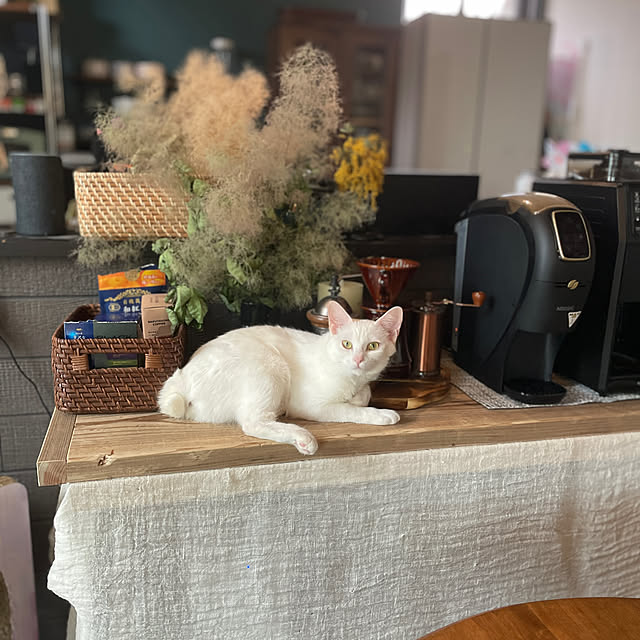 Yukinekoさんの部屋