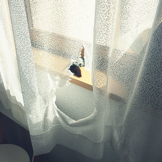 meguさんの実例写真