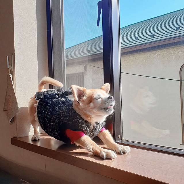 nokoさんの実例写真