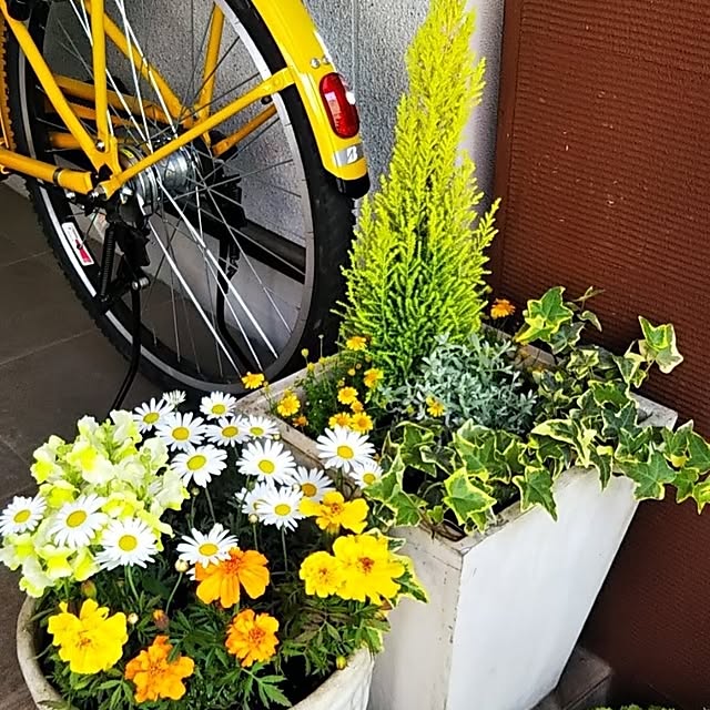 yukki51さんの実例写真