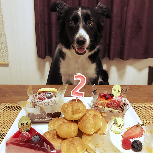 Caoluさんの実例写真