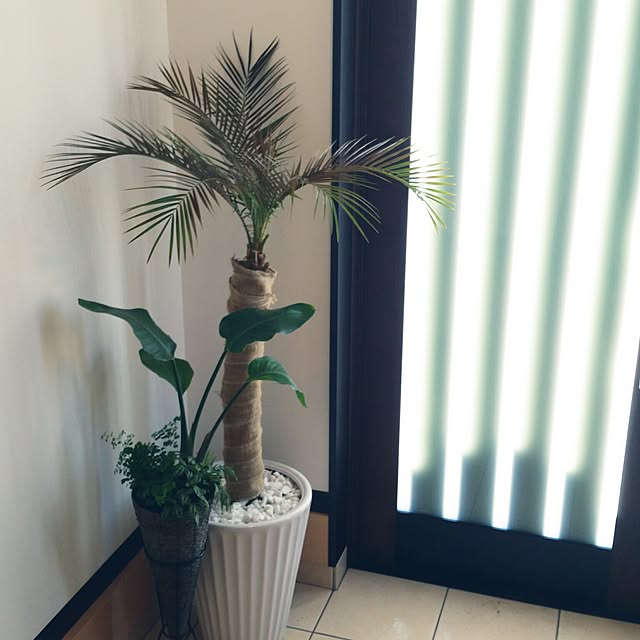 mayさんの実例写真