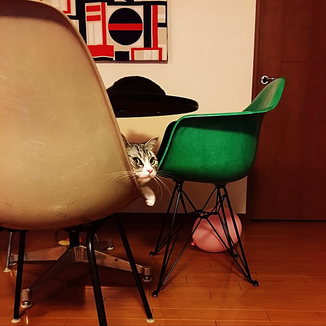 Shojiさんの実例写真