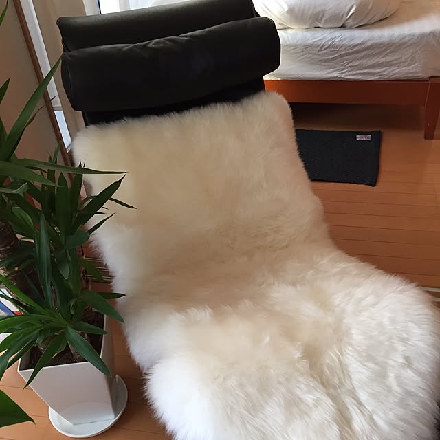 Satocoさんの実例写真