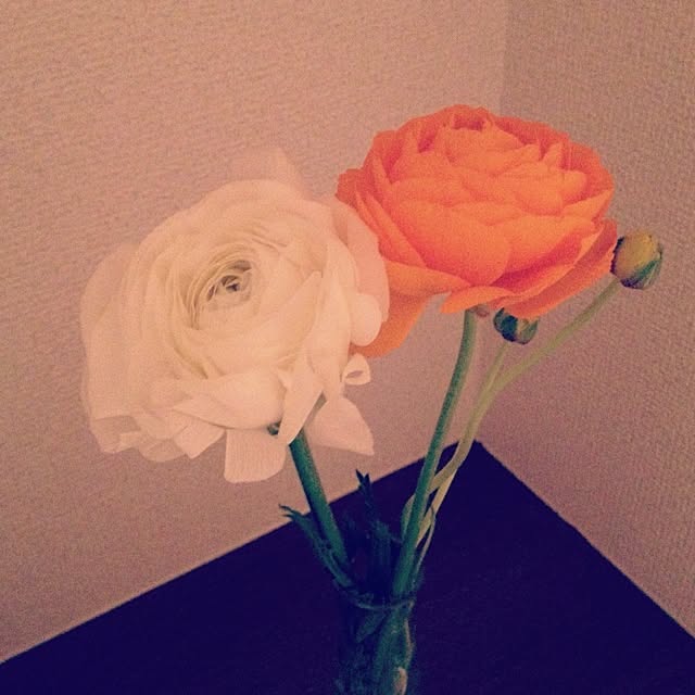 asmrさんの実例写真