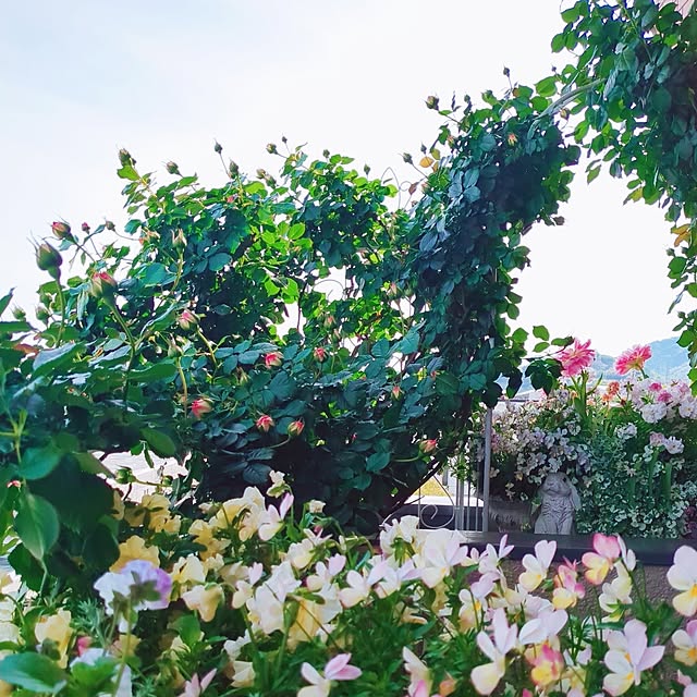 twinkle-butterfly38さんの実例写真