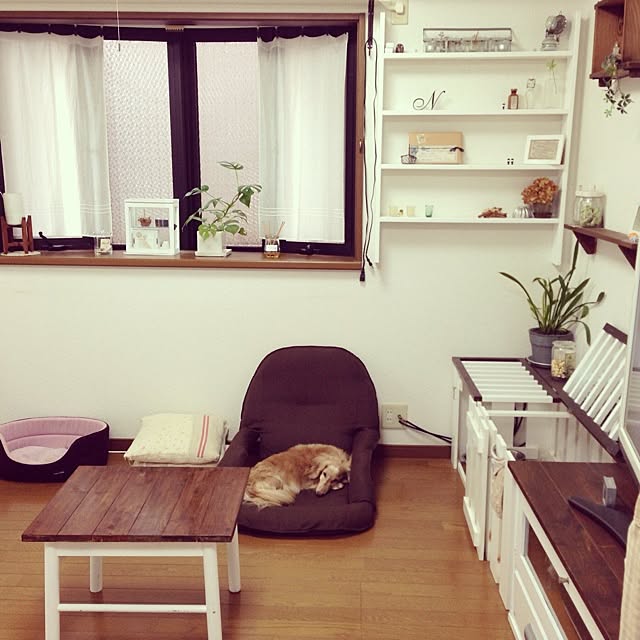 satoさんの実例写真