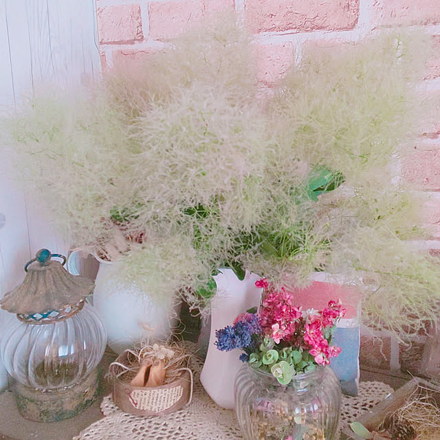 ksyf-naturalさんの実例写真