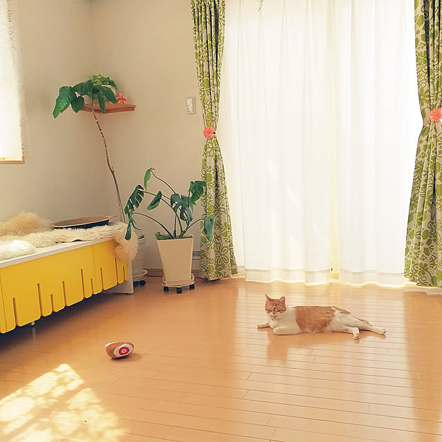 imacoco-3さんの実例写真