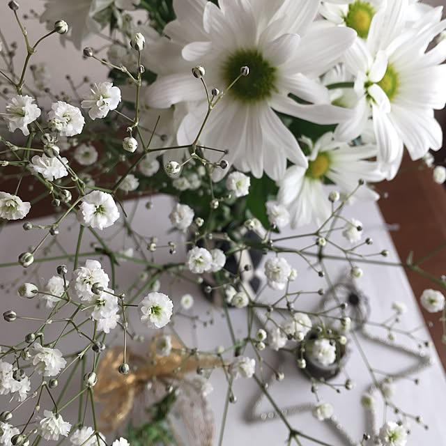 momonaさんの実例写真