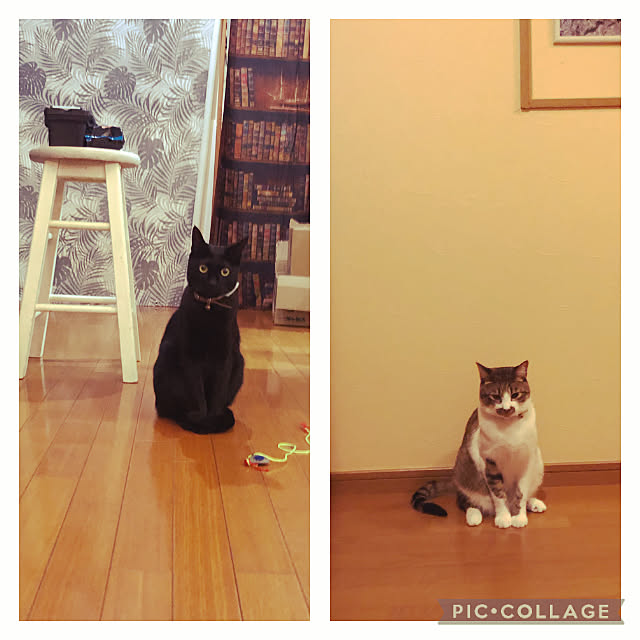 jijiさんの実例写真