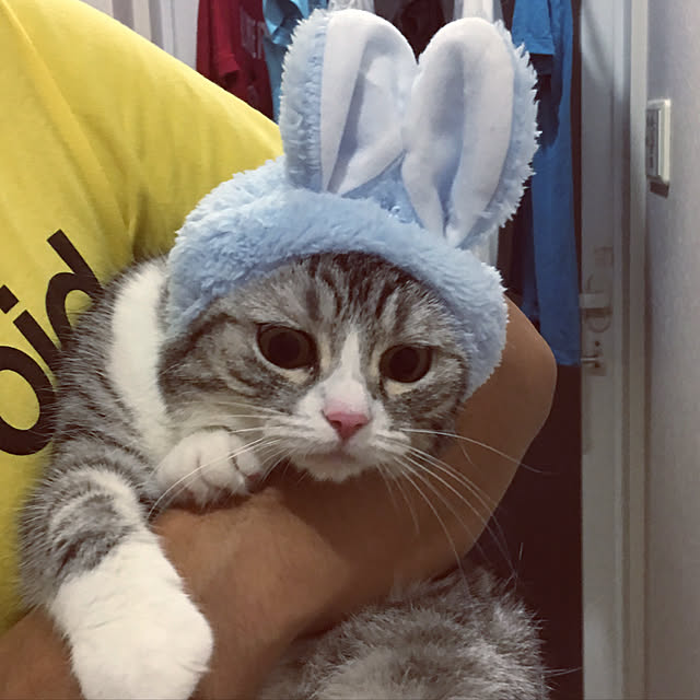 Shojiさんの実例写真