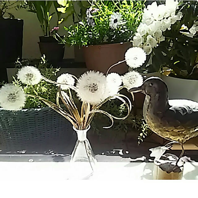 spinetailさんの実例写真