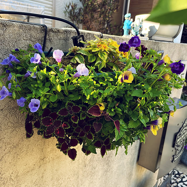 yukarin-gardenさんの実例写真