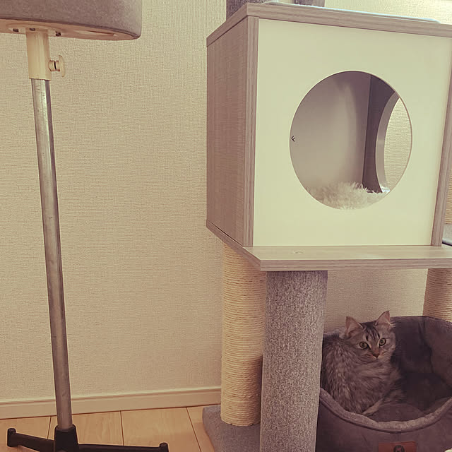 kkkさんの実例写真
