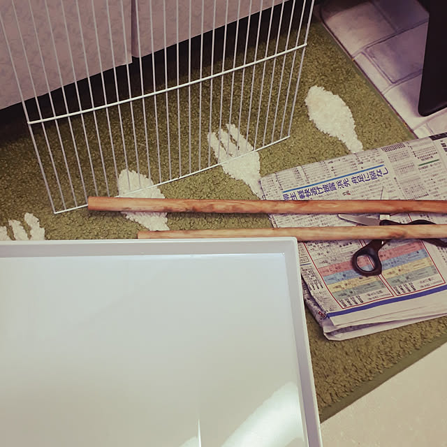 ANTENNAさんの実例写真