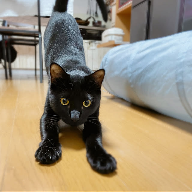 harukaさんの実例写真
