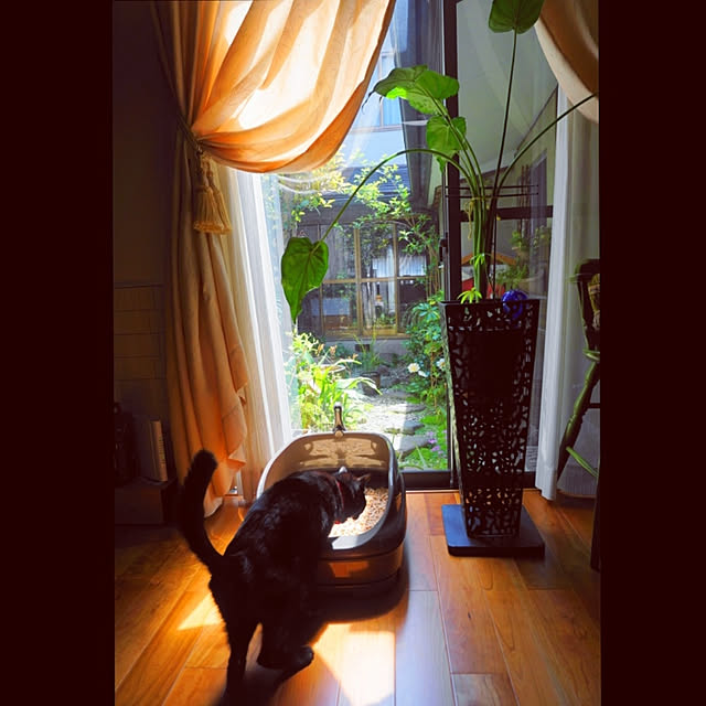 aromameさんの実例写真