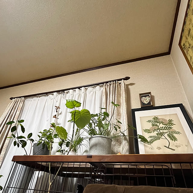 cotaさんの部屋