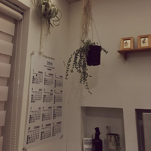 megu.catさんの実例写真