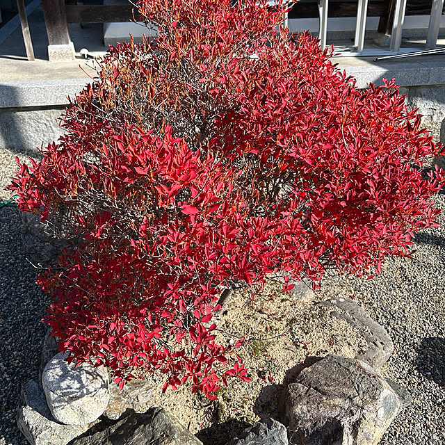 naru.miku.720さんの部屋