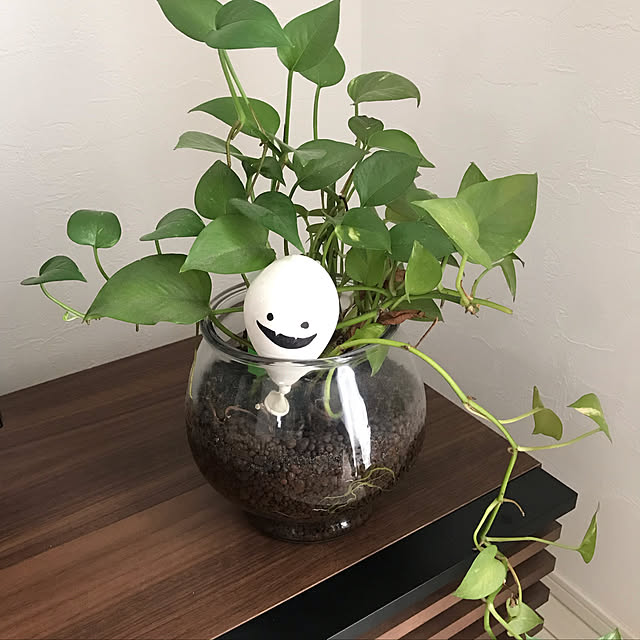 Nishitanyさんの実例写真