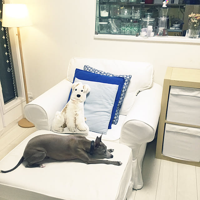 suzyさんの実例写真