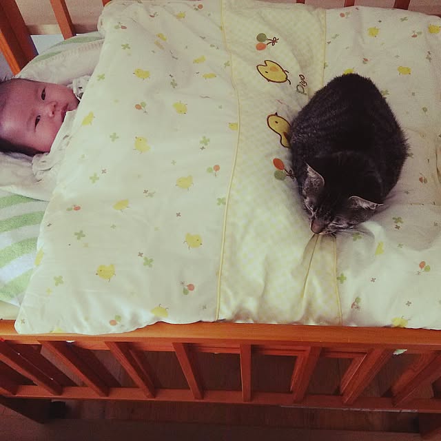 kuromiさんの実例写真
