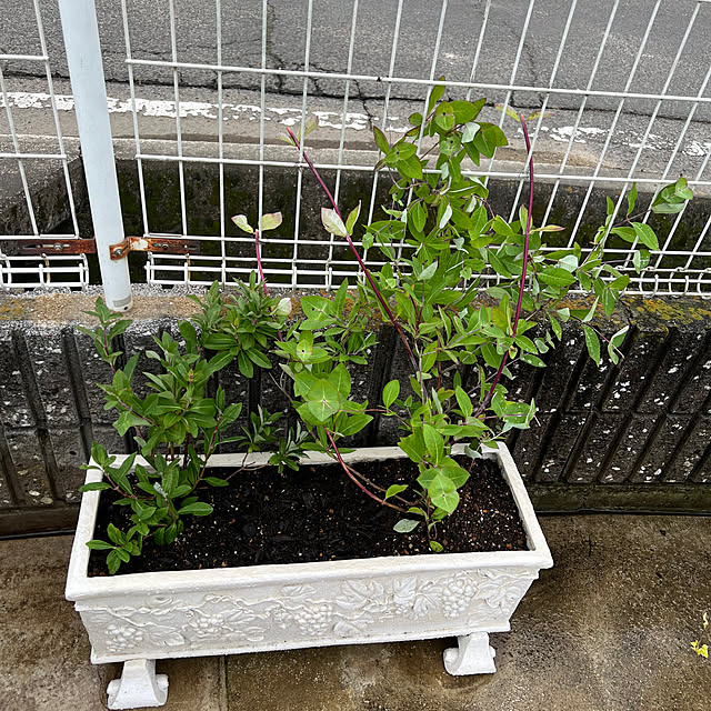 AYUKOさんの部屋