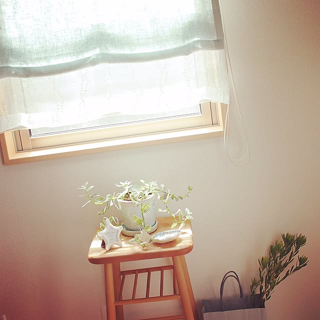 mizuiroさんの実例写真