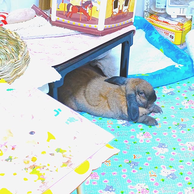 mariaさんの実例写真