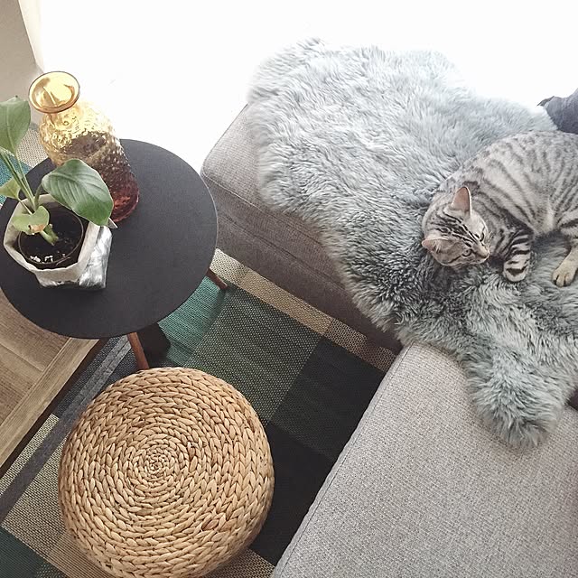 mizoreさんの実例写真