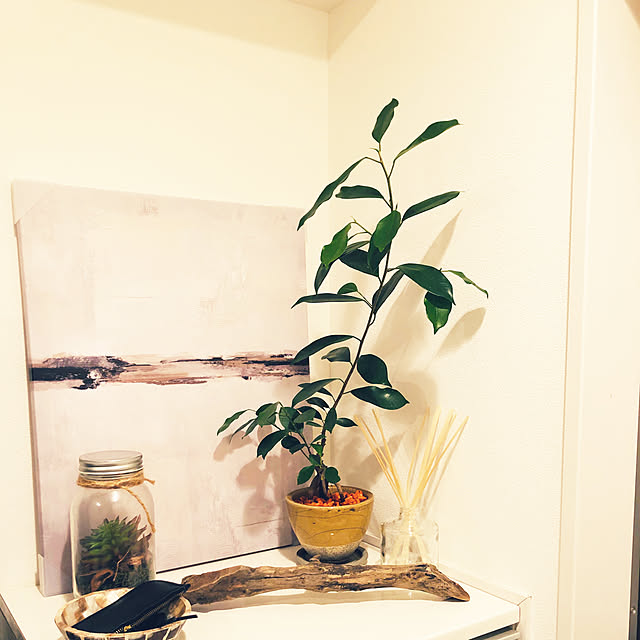 一人暮らし/北欧/観葉植物/IKEA/ドライフラワー...などのインテリア実例 - 2019-12-15 14:52:02