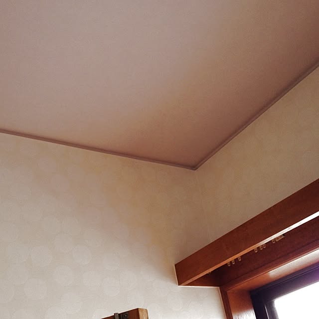 壁/天井のインテリア実例 - 2012-11-05 12:16:22