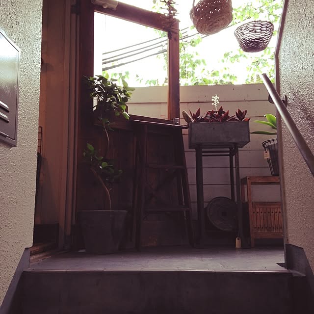 KINUさんの実例写真