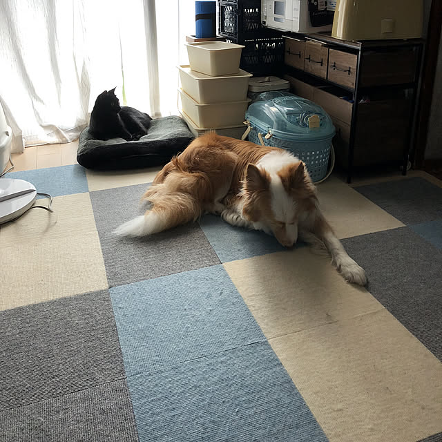 RUNRUNさんの実例写真