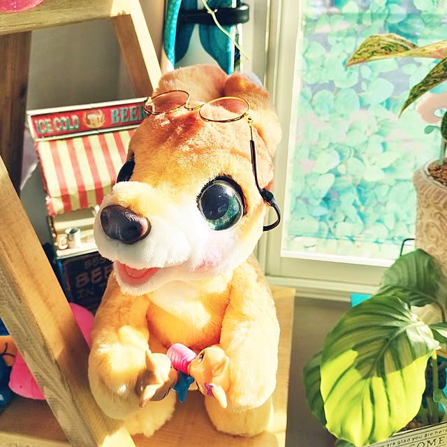 nacchanさんの部屋