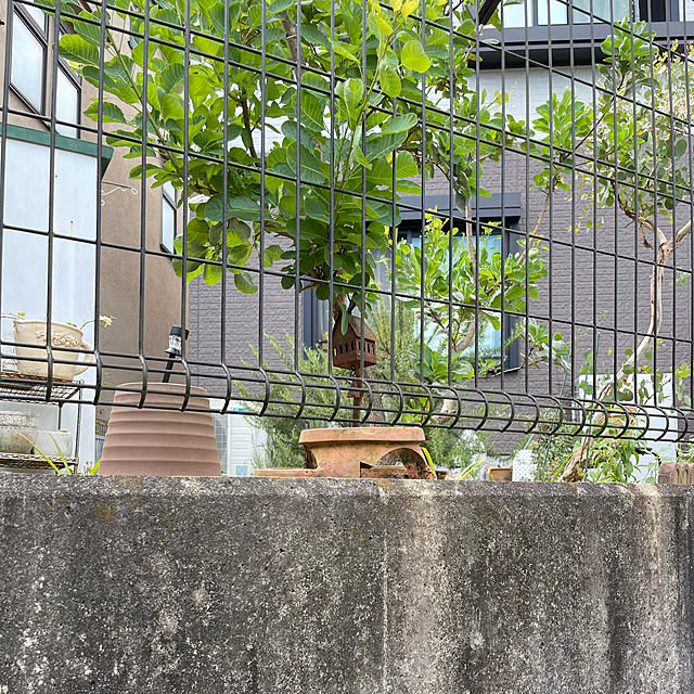 kikiさんの部屋