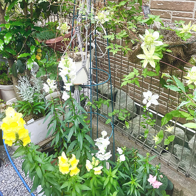 mo-nosukeさんの実例写真
